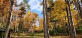 1289 Gerri Ct - Photo 69