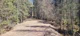 5350 Pineaire Dr - Photo 9