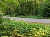 Lot 22 Deer Trail Rd - Photo 3
