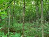 Lot 22 Deer Trail Rd - Photo 4
