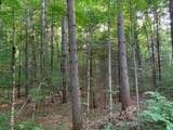 Lot 22 Deer Trail Rd - Photo 5