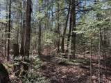 Lot 22 Deer Trail Rd - Photo 8