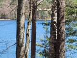 1734 Bass Lake Rd W - Photo 32