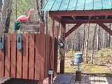 2997 Star Lake Rd - Photo 35