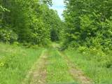 Off Camp 6 Rd - Photo 45