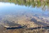 Lot Eagles Way - Photo 9