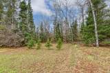 11624 Delbert Dr - Photo 12