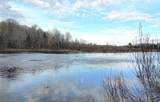 9000 Forest Rd 163 - Photo 30