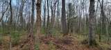 9000 Forest Rd 163 - Photo 38