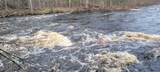 9000 Forest Rd 163 - Photo 39