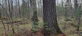 9000 Forest Rd 163 - Photo 41