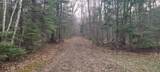 9000 Forest Rd 163 - Photo 42