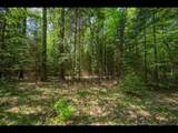 Lot 4 Kinderhook Tr - Photo 2