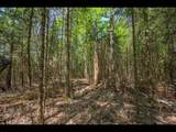 Lot 4 Kinderhook Tr - Photo 3