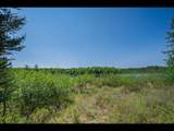 Lot 4 Kinderhook Tr - Photo 6