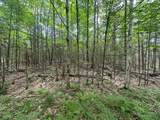 3.3AC Black Forest Rd - Photo 4