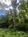 3.3AC Black Forest Rd - Photo 9