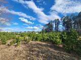 2 Lots Plaza Dr - Photo 27
