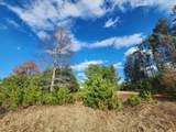 2 Lots Plaza Dr - Photo 4