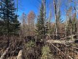 ON Heart Lake Rd - Photo 8