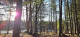 ON Farming Rd N - Photo 14