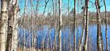 ON Maple Rd - Photo 15