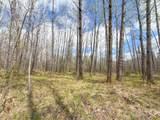 N9868 Woodland Ln - Photo 7