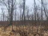 ON Shauger Rd - Photo 1