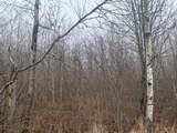 ON Shauger Rd - Photo 3