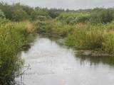 ON Shauger Rd - Photo 6