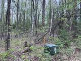 Off Moonshine Valley Rd - Photo 3