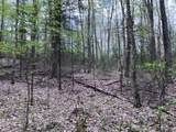 Off Moonshine Valley Rd - Photo 4