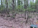 Off Moonshine Valley Rd - Photo 5