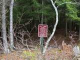 W1086 Tall Pine Tr - Photo 13