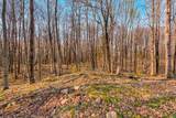 1749 Melody Ln - Photo 15