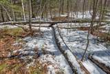 56+/- Ac Hwy 77 - Photo 18