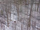 56+/- Ac Hwy 77 - Photo 29
