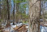 56+/- Ac Hwy 77 - Photo 4