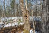 56+/- Ac Hwy 77 - Photo 9