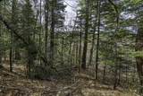 Off Natural Springs Rd - Photo 10