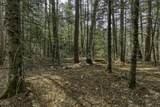 Off Natural Springs Rd - Photo 11
