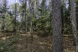 Off Natural Springs Rd - Photo 13