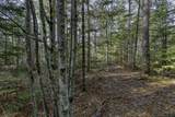 Off Natural Springs Rd - Photo 14