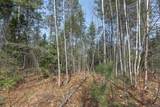 Off Natural Springs Rd - Photo 15