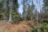 Off Natural Springs Rd - Photo 17