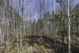 Off Natural Springs Rd - Photo 21