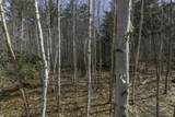 Off Natural Springs Rd - Photo 22