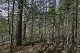 Off Natural Springs Rd - Photo 4