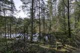 Off Natural Springs Rd - Photo 5