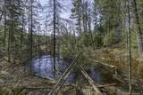Off Natural Springs Rd - Photo 6
